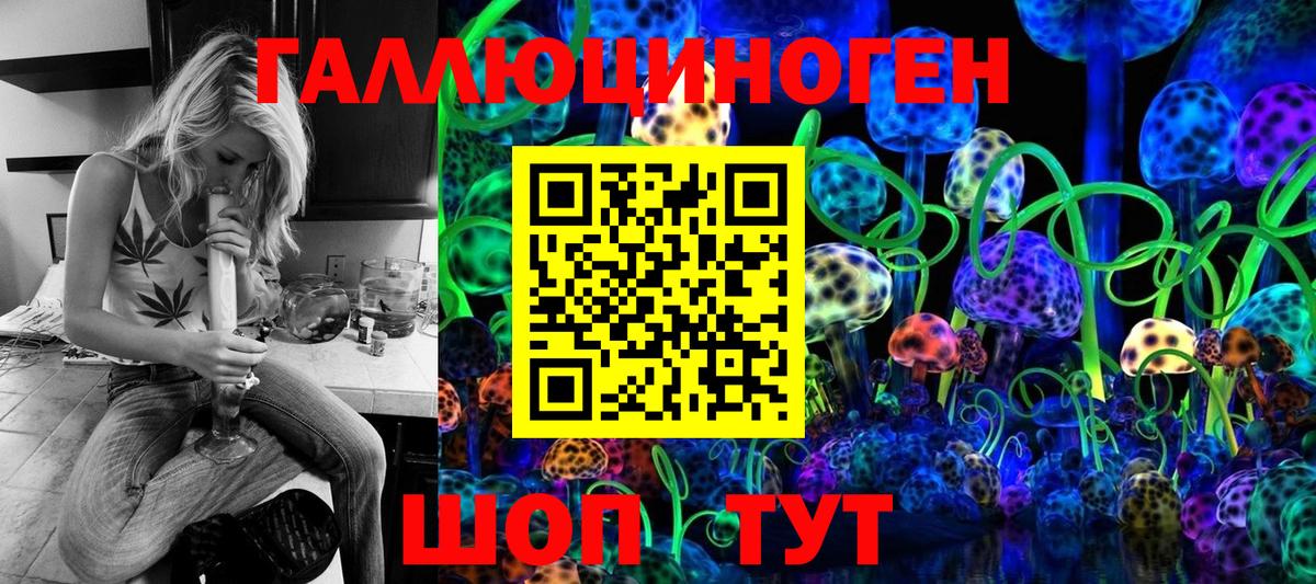 Галлюциногенные грибы Psilocybine cubensis Нижний Новгород