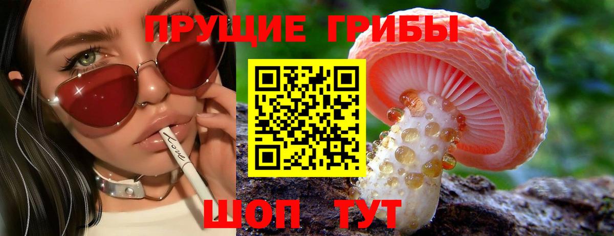 Нижний Новгород  Псилоцибиновые грибы Magic Shrooms  Вход с VPN 
